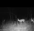  County Road 1115 - Photo 6