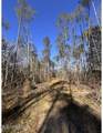  Poplar Springs Road - Photo 10