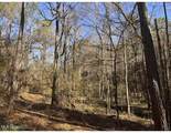  Poplar Springs Road - Photo 3