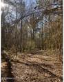  Poplar Springs Road - Photo 4