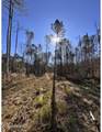  Poplar Springs Road - Photo 6