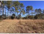  Poplar Springs Road - Photo 9