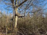  Raymond Road - Photo 38