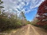 7 County Road 3122 - Photo 4