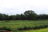 12 Taylor Nichole Road - Photo 13