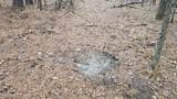  Brown Road - Photo 11