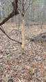  Brown Road - Photo 13