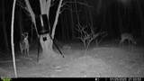  Brown Road - Photo 20