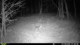  Brown Road - Photo 21