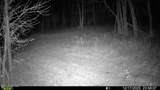 Brown Road - Photo 22