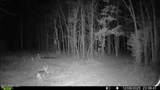  Brown Road - Photo 25