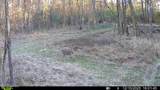  Brown Road - Photo 26