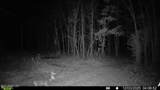  Brown Road - Photo 27
