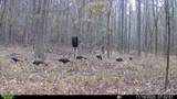  Brown Road - Photo 28