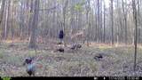  Brown Road - Photo 29