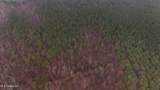  Brown Road - Photo 34