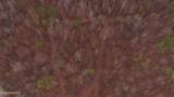  Brown Road - Photo 35