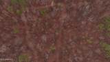  Brown Road - Photo 36