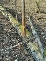  Brown Road - Photo 39