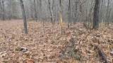  Brown Road - Photo 6