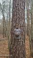 Brown Road - Photo 9