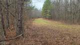  Brown Road - Photo 13