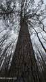  Brown Road - Photo 19