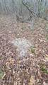  Brown Road - Photo 26