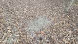  Brown Road - Photo 31