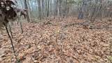  Brown Road - Photo 38