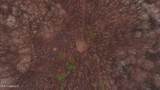  Brown Road - Photo 41