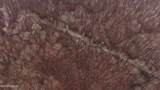  Brown Road - Photo 42