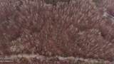  Brown Road - Photo 43