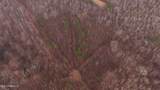  Brown Road - Photo 44