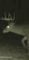  Brown Road - Photo 52