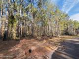  Mallard Trail - Photo 4