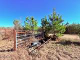  John Smith Road - Photo 28