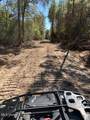  O'banner Loop - Photo 8