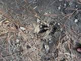  O'banner Loop - Photo 9