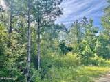 1.62 Acres Ferrell Lane - Photo 2