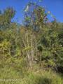  Jim Ramsey Cutoff Road - Photo 1