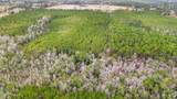89ac Old Hwy 63N & Fork Rd - Photo 14