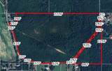 89ac Old Hwy 63N & Fork Rd - Photo 18