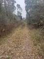 121 Pinecone Street - Photo 1
