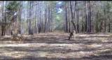 0000 Crooked Creek Road - Photo 10