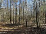 0000 Crooked Creek Road - Photo 15