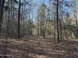 0000 Crooked Creek Road - Photo 5