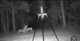 0000 Crooked Creek Road - Photo 7