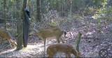 0000 Crooked Creek Road - Photo 9