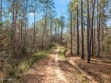 6.45 Acres Todd Road - Photo 6